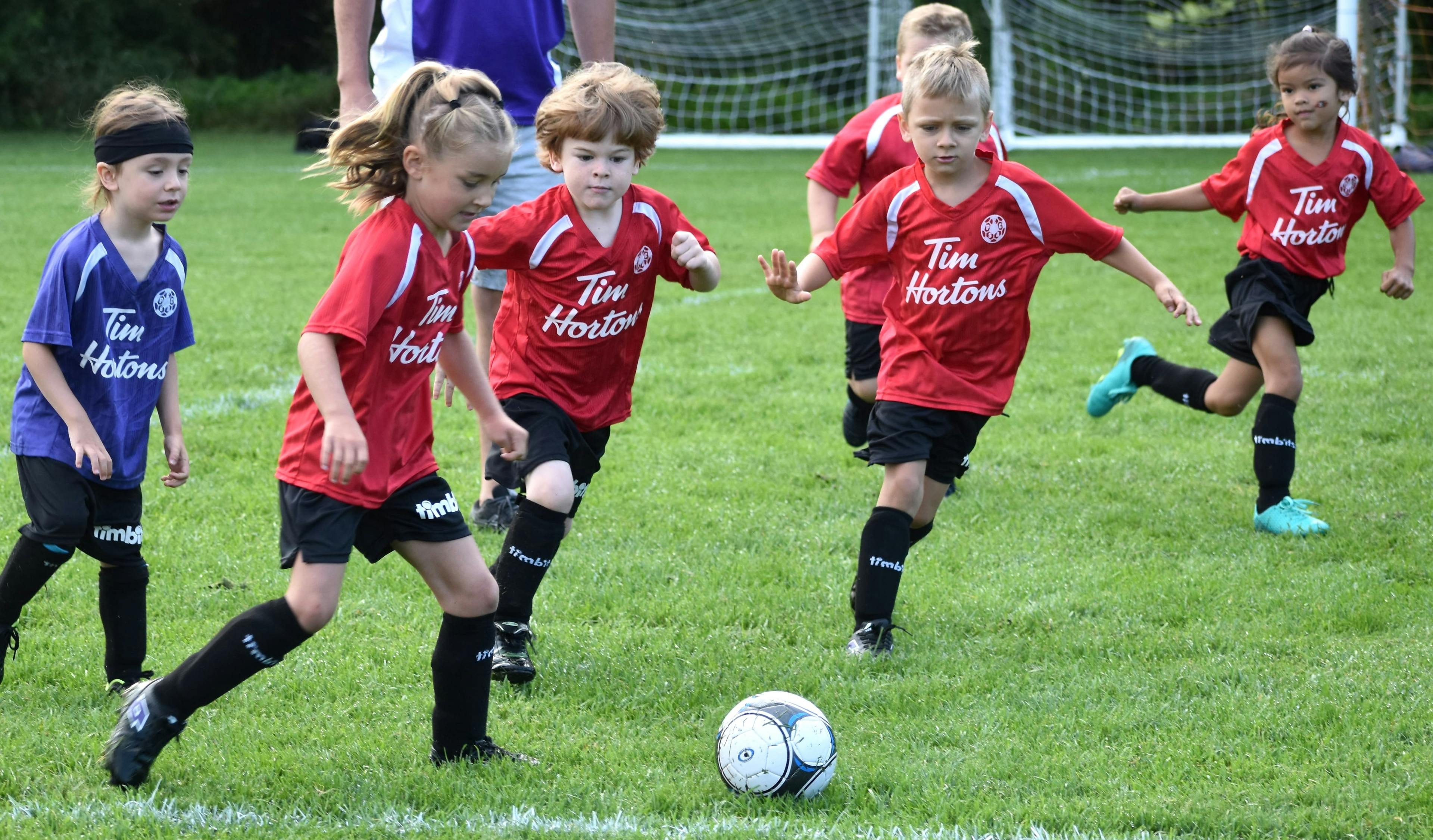 <p>The Parks and Recreation Master Plan indicates Prince Edward County is well served by the current compliment of soccer fields and baseball diamonds although more data is needed to gauge their utilization rates. (Jason Parks/Gazette Staff)</p>
